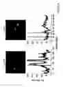 Fig. 04 - Targeted fusion proteins and methods for the characterization of cellular membrane domains