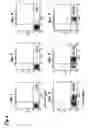 Fig. 05 - Preparation of endodermal stem cells