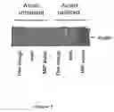 Fig. 04 - Methods for introducing mannose 6-phosphate and other oligosaccharides onto glycoproteins