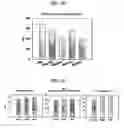 Fig. 09 - Thrombin-like recombinant baxtroxobin expressed by pichia sp.and production method thereof