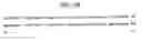 Fig. 04 - Transforming growth factor-beta-related molecules and uses thereof