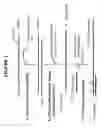 Fig. 02 - Methods and kits for sense RNA synthesis