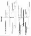 Fig. 03 - Methods and kits for sense RNA synthesis