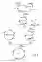 Fig. 04 - Method for producing non-amino organic acid