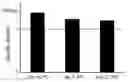 Fig. 01 - Stabilization of T4 endonuclease V
