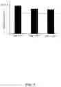 Fig. 08 - Stabilization of T4 endonuclease V