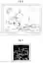 Fig. 04 - Composition for coating support for preparation of cell sheet support for preparation of cell sheet and process for producing cell sheet
