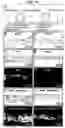 Fig. 07 - Composition for coating support for preparation of cell sheet support for preparation of cell sheet and process for producing cell sheet
