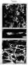 Fig. 12 - Composition for coating support for preparation of cell sheet support for preparation of cell sheet and process for producing cell sheet