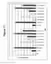 Fig. 12 - RNA interference mediated inhibition of gene expression using chemically modified short interfering nucleic acid (siNA)