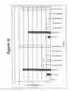 Fig. 14 - RNA interference mediated inhibition of gene expression using chemically modified short interfering nucleic acid (siNA)