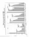 Fig. 29 - RNA interference mediated inhibition of gene expression using chemically modified short interfering nucleic acid (siNA)