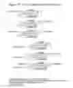 Fig. 64 - RNA interference mediated inhibition of gene expression using chemically modified short interfering nucleic acid (siNA)