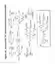 Fig. 71 - RNA interference mediated inhibition of gene expression using chemically modified short interfering nucleic acid (siNA)