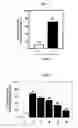 Fig. 02 - Inducer for differentiation of embryo stem cells into ectodermal cells method of obtaining the same and use thereof