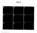 Fig. 08 - Inducer for differentiation of embryo stem cells into ectodermal cells method of obtaining the same and use thereof