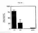 Fig. 09 - Inducer for differentiation of embryo stem cells into ectodermal cells method of obtaining the same and use thereof