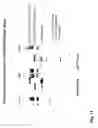 Fig. 16 - Adaptor-directed helper systems