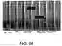 Fig. 56 - Rigid-backed, membrane-based chip tooling