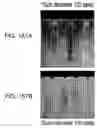 Fig. 83 - Rigid-backed, membrane-based chip tooling
