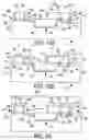 Fig. 06 - SEMICONDUCTOR DAMASCENE TRENCH AND METHODS THEREOF