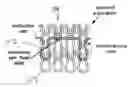 Fig. 01 - Surface functional electro-textile with functionality modulation capability, methods for making the same, and applications incorporating the same