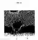 Fig. 07 - Method of fabricating carbon nanotubes using focused ion beam