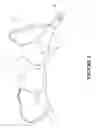 Fig. 02 - Brassiere