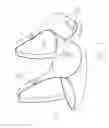 Fig. 02 - Mastectomy bras