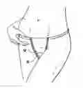 Fig. 01 - Adjustable undergarment