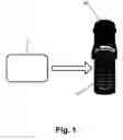 Fig. 02 - Methods and apparatuses for safeguarding data
