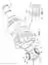 Fig. 02 - Tripot joint retainer