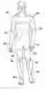 Fig. 01 - Method of externally passively loading an endoskeletal animal's body