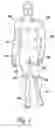 Fig. 02 - Method of externally passively loading an endoskeletal animal's body