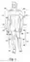 Fig. 03 - Method of externally passively loading an endoskeletal animal's body