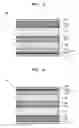 Fig. 03 - Thermo-sensitive recording medium and apparatus and method for forming multi-color image on the recording medium