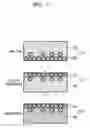 Fig. 06 - Thermo-sensitive recording medium and apparatus and method for forming multi-color image on the recording medium