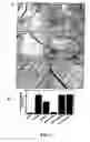 Fig. 03 - Compositions and methods for modulating angiogenesis