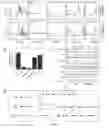 Fig. 05 - Compositions and methods for modulating angiogenesis