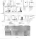 Fig. 06 - Compositions and methods for modulating angiogenesis