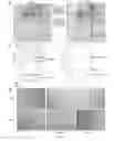 Fig. 07 - Compositions and methods for modulating angiogenesis