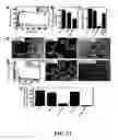 Fig. 25 - Compositions and methods for modulating angiogenesis