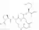 Fig. 07 - KAPREKY peptidomimetics and analogues thereof