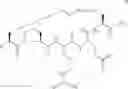 Fig. 17 - KAPREKY peptidomimetics and analogues thereof