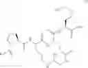 Fig. 19 - KAPREKY peptidomimetics and analogues thereof