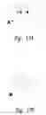 Fig. 19 - Human FGF-23 gene and gene expression products