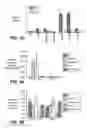 Fig. 04 - Methods and compositions for modulating vascular integrity