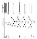 Fig. 02 - Branched cationic copolymers and methods for antimicrobial use