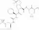 Fig. 1204 - Method for modulating activity of HCV protease through use of a novel HCV protease inhibitor to reduce duration of treatment period