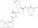 Fig. 1213 - Method for modulating activity of HCV protease through use of a novel HCV protease inhibitor to reduce duration of treatment period